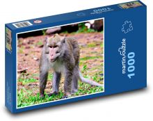Małpa - matka i młode, zwierzę Puzzle 1000 elementów - 60x46 cm