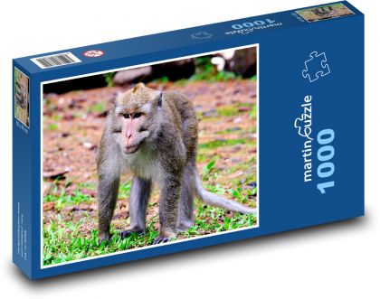 Małpa - matka i młode, zwierzę - Puzzle 1000 elementów, rozmiar 60x46 cm