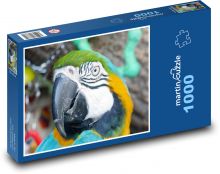 Papoušek ara - zvíře, pták Puzzle 1000 dílků - 60 x 46 cm