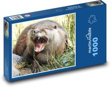 Vydra - divoké zvíře, dravec Puzzle 1000 dílků - 60 x 46 cm