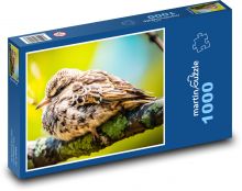 Pták - zvíře, zobák Puzzle 1000 dílků - 60 x 46 cm
