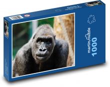 Gorila - opice, primát Puzzle 1000 dílků - 60 x 46 cm