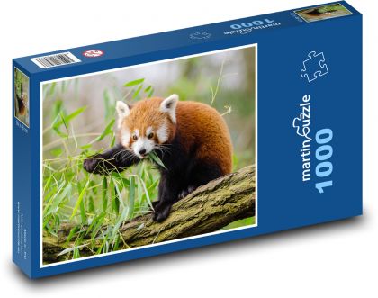 Panda červená - větev, zvíře - Puzzle 1000 dílků, rozměr 60x46 cm