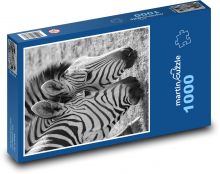 Zebras - animals, mammals Puzzle 1000 pieces - 60 x 46 cm 