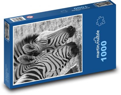 Zebras - animals, mammals - Puzzle 1000 pieces, size 60x46 cm 