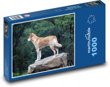 Dingo - divoký pes, Austrálie Puzzle 1000 dílků - 60 x 46 cm