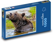 Medvěd ve vodě - grizly Puzzle 1000 dílků - 60 x 46 cm