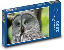 Puštík, sova v lese Puzzle 2000 dílků - 90 x 60 cm