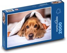 Anglický Kokršpaněl Puzzle 2000 dílků - 90 x 60 cm