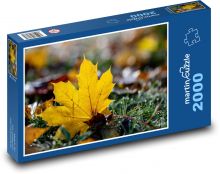 List stromu Puzzle 2000 - 90x60 cm