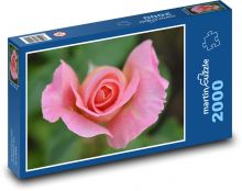 Rose - flower, pink Puzzle 2000 pieces - 90 x 60 cm
