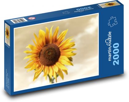 Słonecznik - kwiat, ogród - Puzzle 2000 elementów, rozmiar 90x60 cm