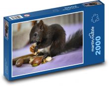 Squirrel - rodent, food Puzzle 2000 pieces - 90 x 60 cm
