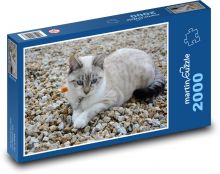 Kočka - domácí mazlíček, zvíře Puzzle 2000 dílků - 90 x 60 cm