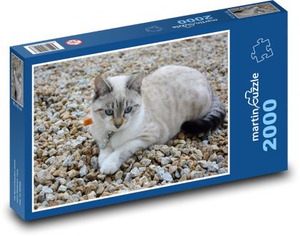Kočka - domácí mazlíček, zvíře - Puzzle 2000 dílků, rozměr 90x60 cm