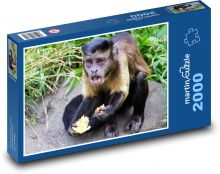 Opice - zvíře, roztomilý Puzzle 2000 dílků - 90 x 60 cm