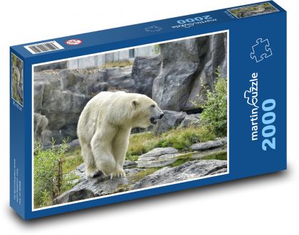 Ľadový medveď - zoo, zviera - Puzzle 2000 dielikov, rozmer 90x60 cm 