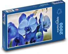 Modrá orchidej - květy, rostlina Puzzle 2000 dílků - 90 x 60 cm