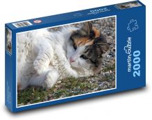 Hravá mačka - domáci maznáčik, zviera Puzzle 2000 dielikov - 90 x 60 cm