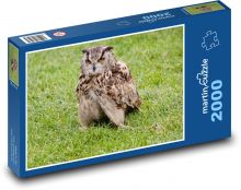 Night owl - predator, hunter Puzzle 2000 pieces - 90 x 60 cm