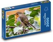 Červenka - pták na větvi, posezení Puzzle 2000 dílků - 90 x 60 cm