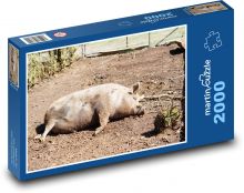 Prase - domácí zvíře, farma Puzzle 2000 dílků - 90 x 60 cm