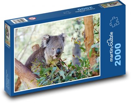 Koala na drzewie - torbacz, zwierzę - Puzzle 2000 elementów, rozmiar 90x60 cm