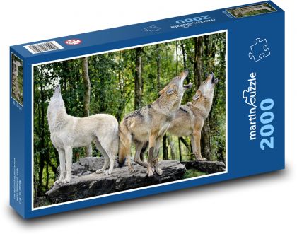 Vlci - vytie vlkov, dravci - Puzzle 2000 dielikov, rozmer 90x60 cm 