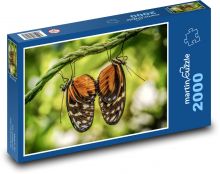 Motýli - hmyz, párování Puzzle 2000 - 90x60 cm