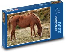 Hnedý kôň - zviera, príroda Puzzle 2000 dielikov - 90 x 60 cm