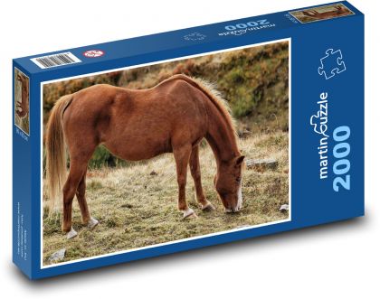 Hnedý kôň - zviera, príroda - Puzzle 2000 dielikov, rozmer 90x60 cm 