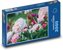 Pivoňka - růžový květ, rostlina Puzzle 2000 dílků - 90 x 60 cm