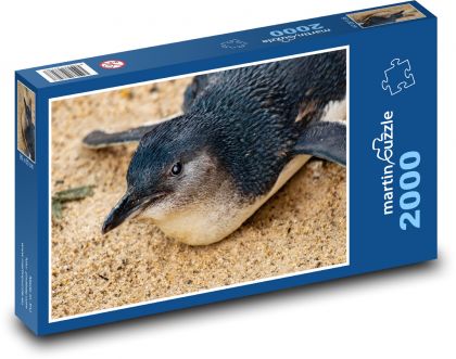 Tučniak - vták, zviera - Puzzle 2000 dielikov, rozmer 90x60 cm 