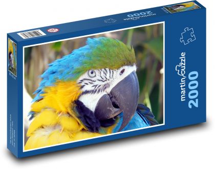 Papagáj - vták, perie - Puzzle 2000 dielikov, rozmer 90x60 cm 