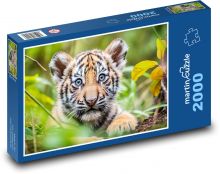 Tygr - mládě, tygřík Puzzle 2000 dílků - 90 x 60 cm