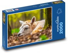 Alpaka - zvíře, jaro Puzzle 2000 dílků - 90 x 60 cm