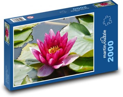 Ľalie - kvet, rybník - Puzzle 2000 dielikov, rozmer 90x60 cm 