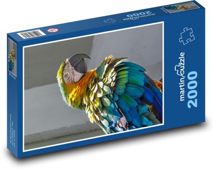 Papagáj - vták, zviera - Puzzle 2000 dielikov, rozmer 90x60 cm 