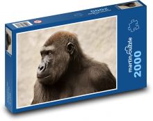 Opica - primát, zviera Puzzle 2000 dielikov - 90 x 60 cm