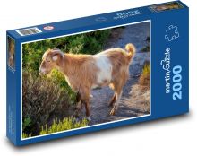 Koza - zviera, rohy Puzzle 2000 dielikov - 90 x 60 cm