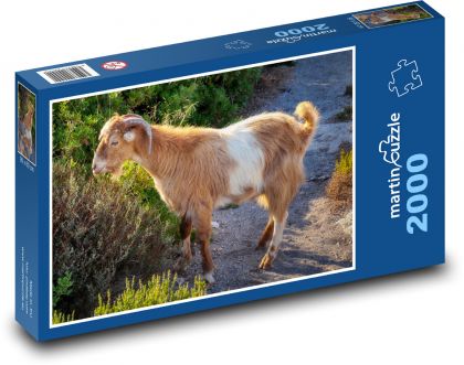 Koza - zviera, rohy - Puzzle 2000 dielikov, rozmer 90x60 cm 