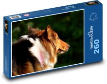 Portrét psa při západu slunce, Kolie Puzzle 260 dílků - 41 x 28,7 cm