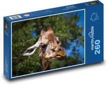 Žirafa ve výběhu na slunci Puzzle 260 dílků - 41 x 28,7 cm