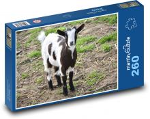 Koza Puzzle 260 dílků - 41 x 28,7 cm