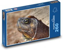 Hlava želvy Puzzle 260 dílků - 41 x 28,7 cm