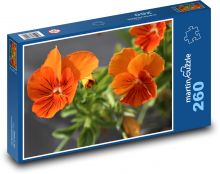 Oranžové macešky Puzzle 260 dílků - 41 x 28,7 cm