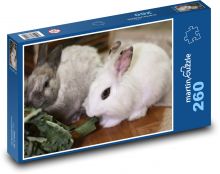 Zakrslý králík - domácí zvíře Puzzle 260 dílků - 41 x 28,7 cm