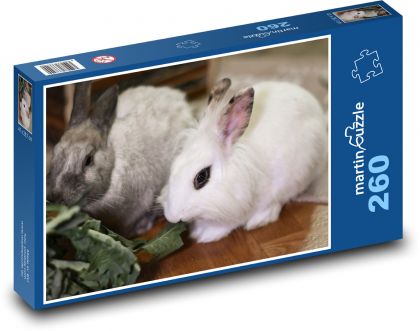 Zakrslý králík - domácí zvíře - Puzzle 260 dílků, rozměr 41x28,7 cm