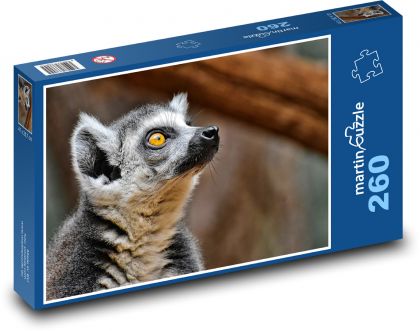 Lemur - zoo, zvíře - Puzzle 260 dílků, rozměr 41x28,7 cm