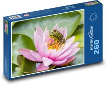 Frog - water lily, pond Puzzle 260 pieces - 41 x 28.7 cm 
